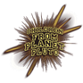 Children From planet Pluto - Home